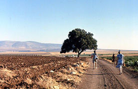 routegalilee