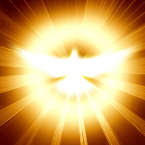 shining dove with rays on a dark golden background