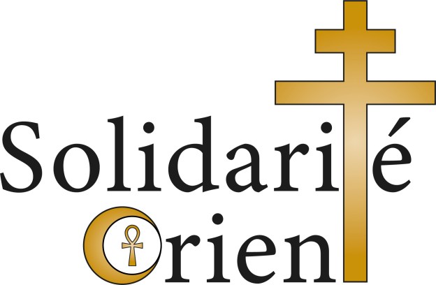 SO - Logo vector RVB